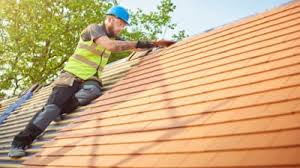 Best Rubber Roofing (EPDM, TPO)  in Bingham Farms, MI
