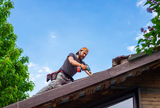 Best Asphalt Shingle Roofing  in Bingham Farms, MI